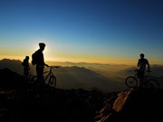 bright brown design mountain biking