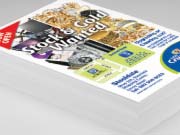 cash crusaders newsletter